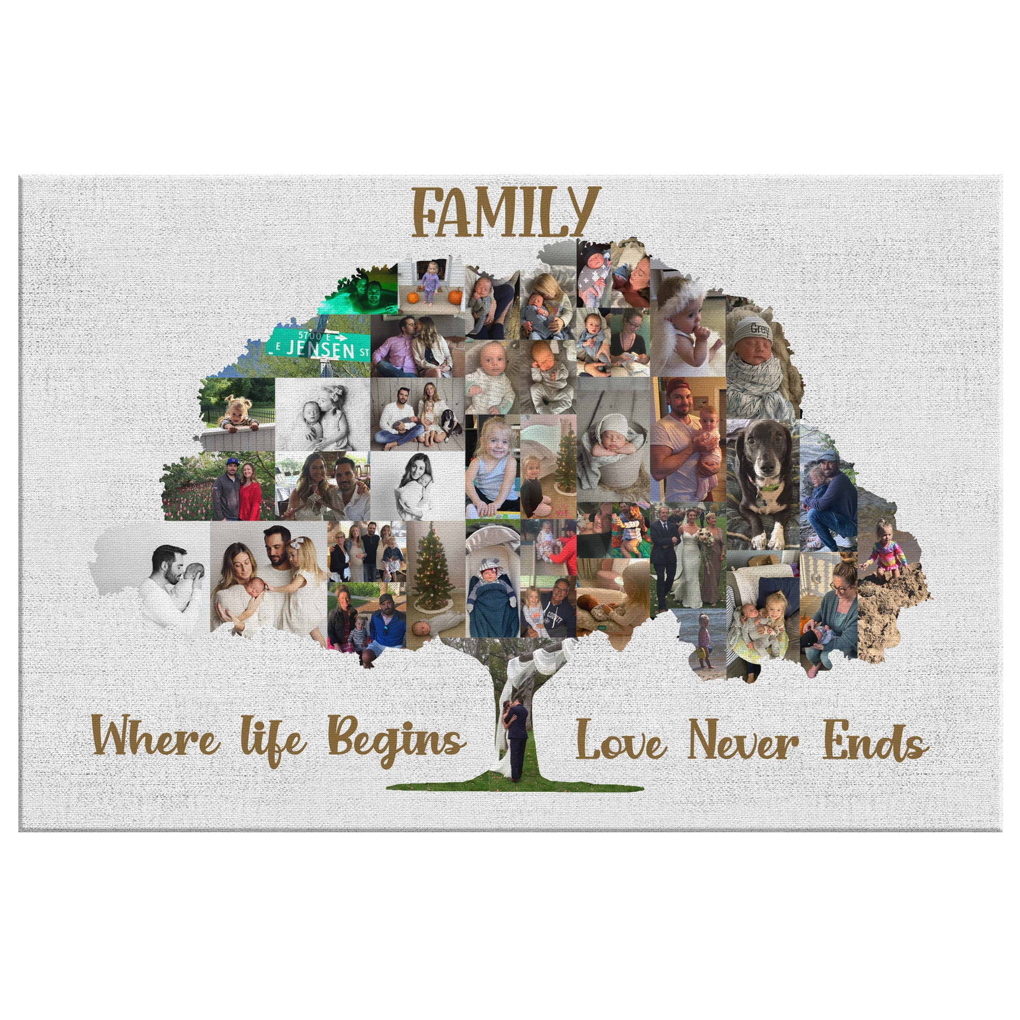 GF8324 Family Tree Collage